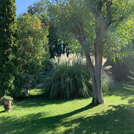 Provencal And Pool - 4 Bedrooms - Up To 10 People * Pont-Saint-Esprit