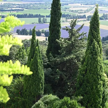 Provencal And Pool - 4 Bedrooms - Up To 10 People * Pont-Saint-Esprit