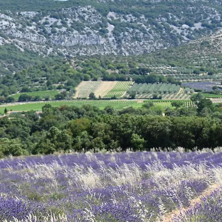 Provencal And Pool - 4 Bedrooms - Up To 10 People *